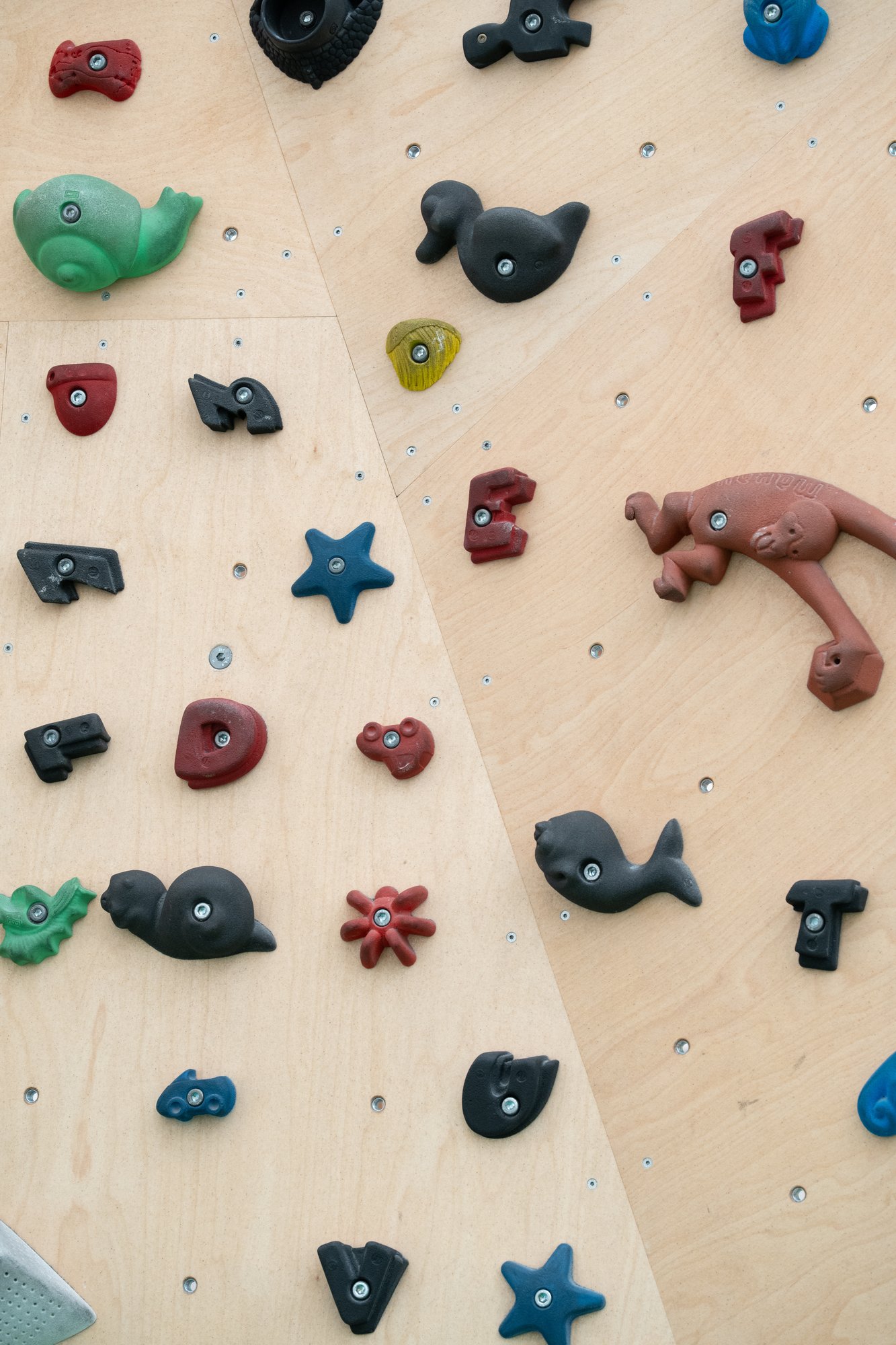 Prises en forme d'animaux sur le mur de l'espace kids